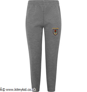 ZECO JOGGERS GRY 9/10