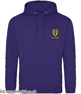 AWD HOODIE PUR XS