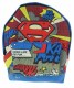 Superman Sports Backpack 1006