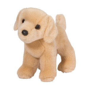 Douglas Zach the Yellow Lab