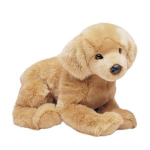 Douglas Honey the Golden Retriever