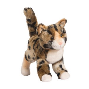 Douglas Tashette the Bengal Cat