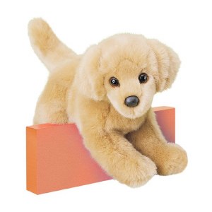Douglas Sandi the Golden Retriever