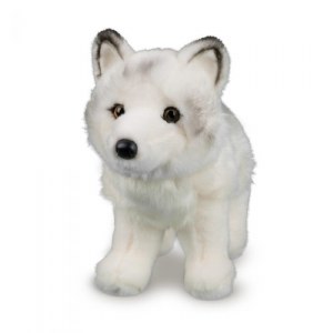 Douglas Snow Queen the Artic Fox