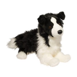 Douglas Chase the Border Collie