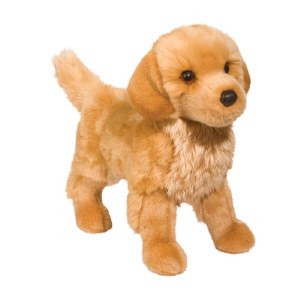 Douglas King the Golden Retriever
