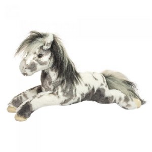 Douglas Starsky the Appaloosa Horse