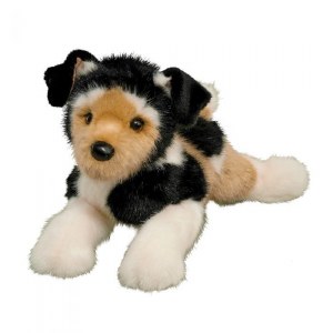 Douglas Moses the Terrier Mix