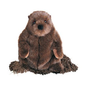 Douglas Chuckwood the Groundhog