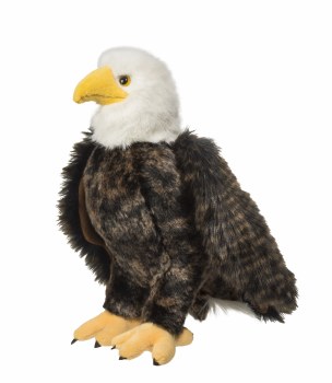 Douglas 258 Adler Eagle