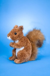 Douglas Roadie the Red Squirrel