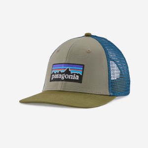 Patagonia P-6 Logo Trucker Hat  Garden Green