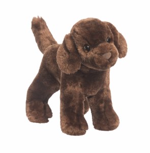 Douglas Sylvia Chocolate Lab