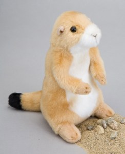Douglas Digger the Prairie Dog