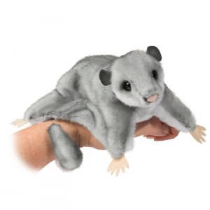 Douglas Squeek Sugar Glider