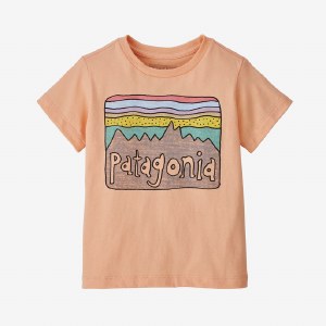 Patagonia Baby Fitz Roy Skies T-Shirt 6M Cowry Peach