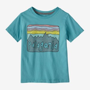 Patagonia Baby Regenerative Organic Certified Cotton Graphic T-Shirt 3T Iggy Blue