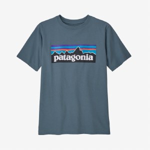 Patagonia P-6 Logo Organic Cotton T-shirt M Plume Grey