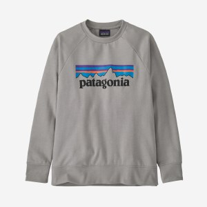 Patagonia Kid's Lightweight Crew Sweatshirt SM P6 Logo: Drifter Grey