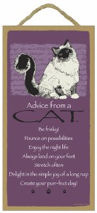 SJT Enterprises Advice From A Cat Sign 5&quot;x10&quot;