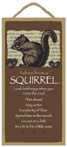 SJT Enterprises Advice From A Squirrel Sign 5&quot;x10&quot;