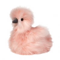 Douglas Mara the Silkie Chick