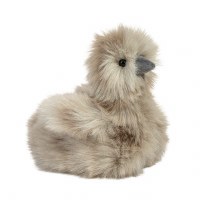 Douglas Zara the Silkie Chick