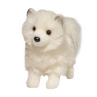 Douglas Phoebe the White Pomsky