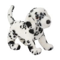 Douglas Winston the Dalmation