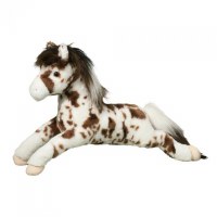 Douglas Hawkeye the Appaloosa Horse Large