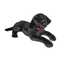 Douglas Dickens the Black Lab
