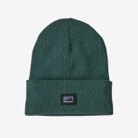 Patagonia Everyday Beanie  Hemlock Green