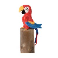 Douglas Gabby the Macaw