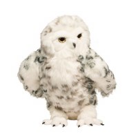 Douglas Shimmer the White Owl
