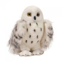 Douglas Wizard the Snowy Owl