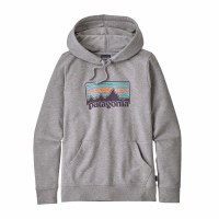 patagonia women's raindrop peak ahnya hoody