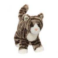 Douglas Zigby the Grey Striped Kitty