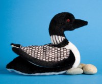 Douglas Ludwig the Loon