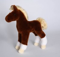 Douglas Teak Chestnut Foal