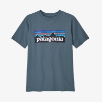 Patagonia P-6 Logo Organic Cotton T-shirt XS Plume Grey