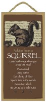 SJT Enterprises Advice From A Squirrel Sign 5"x10"