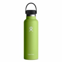 Hydro Flask Standard Mouth with Flex Cap 21oz Sea Grass