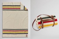 Pendleton National Park Throw with Carrier Throw Glacier