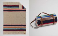 Pendleton National Park Throw with Carrier Throw Yellowstone