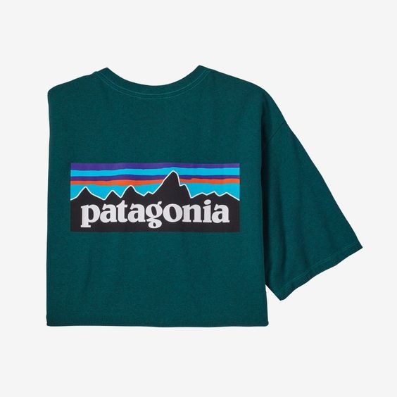 Patagonia Men's Long-Sleeved Capilene Cool Daily Graphic Shirt - RJ Pope  Mens and Ladies