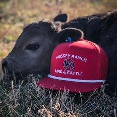 Whiskey Bent Hat Company The Case
