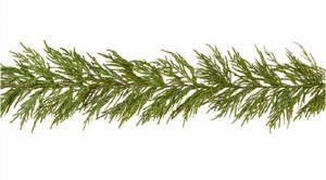 1.8m Natural Touch Garland
