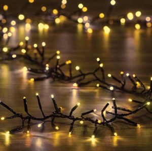 Smart 1000LED Cluste Lights WW
