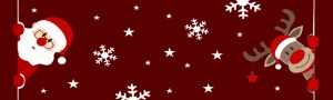 Miabella 50 x150cm Door Mat
Red Santa Christmas