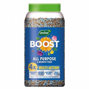 WestF Boost Slow Release 750g